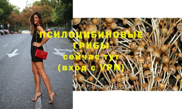 бошки Верхнеуральск