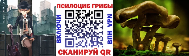 Галлюциногенные грибы Psilocybine cubensis Ефремов